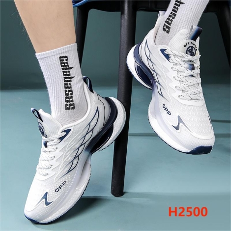 H2500