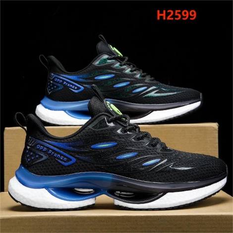 H2599